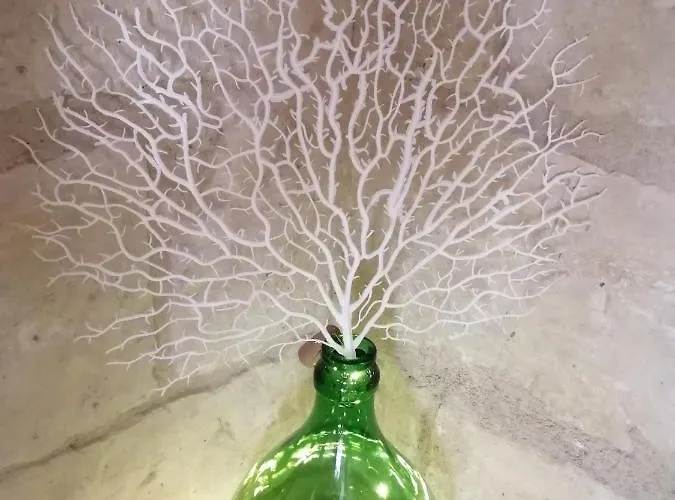 Palazzo Emy 4* Лечче