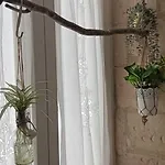 Palazzo Emy B&B