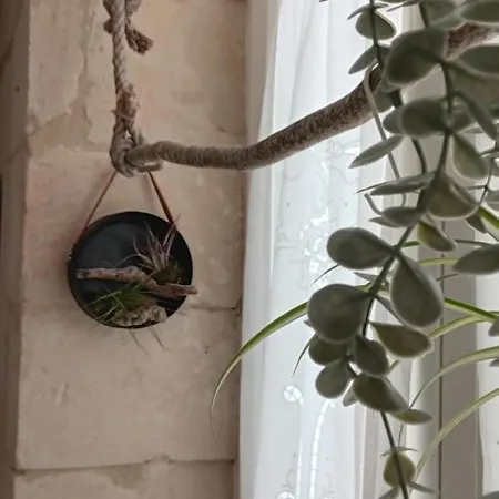 Bed and breakfast Palazzo Emy Lecce