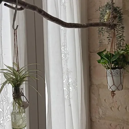 Palazzo Emy Bed and breakfast